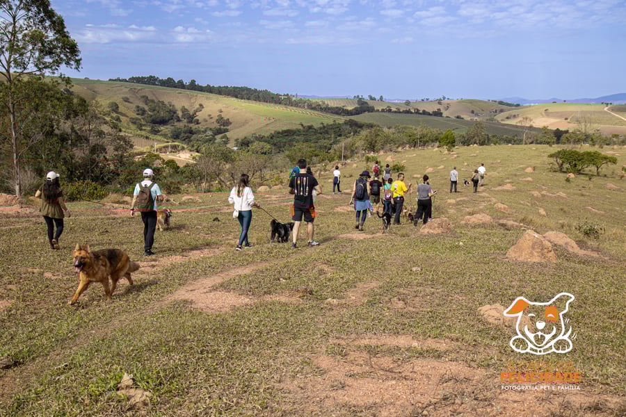 Fazenda Nossa Senhora Conceição pet friendly Jundiaí