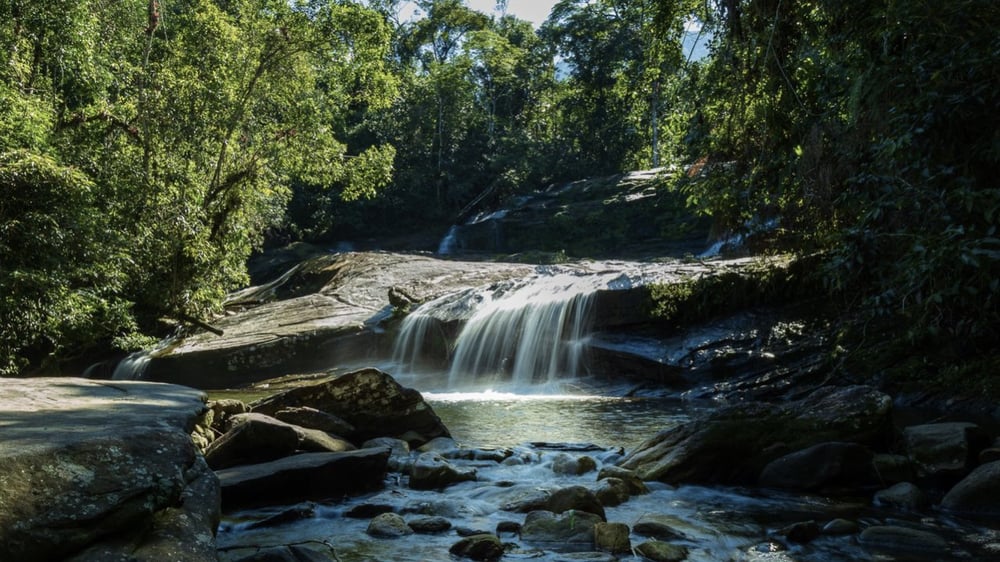 Ilha do Cedro - Aldeia Pataxó - Cachoeira do Iriri - Praia das Pitangueiras