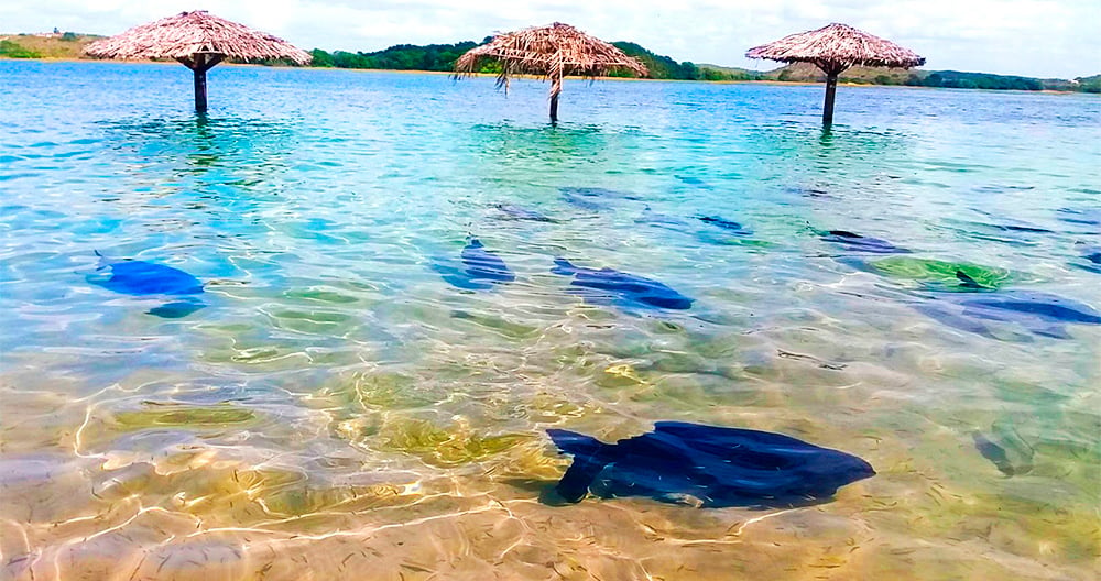 Aracaju/SE + Croa do Goré + Lagoa dos Tambaquis 