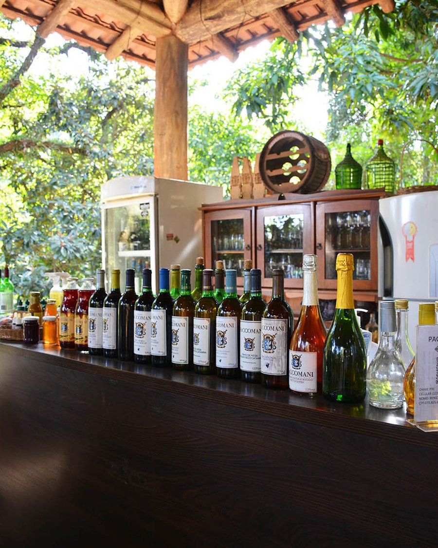 Trilha Pet + Degustação de Vinhos e Almoço na Vinícola Saccomani