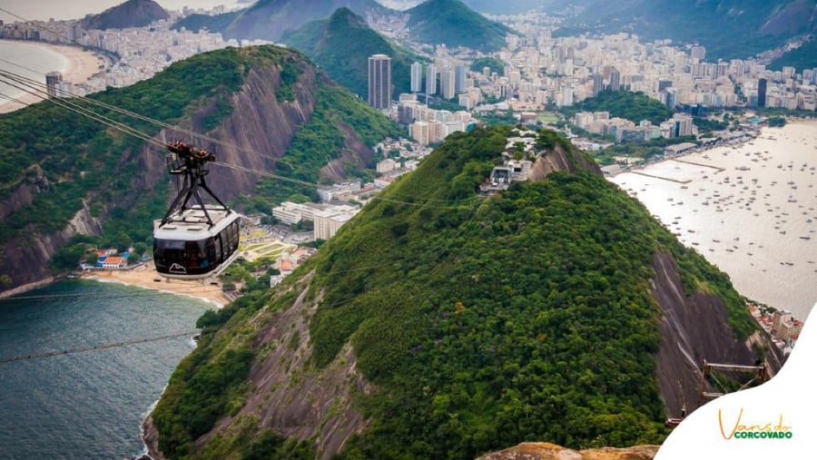 RIO ANIMAL 