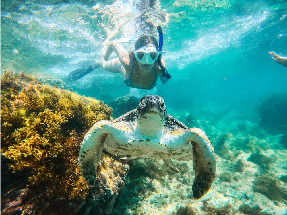 Mergulho de Snorkel na Praia em Arraial do Cabo