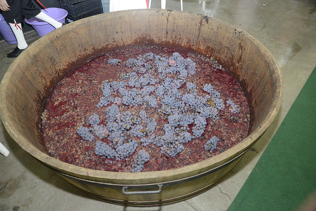 Roteiro do Vinho e Festa da Uva em Jundiái