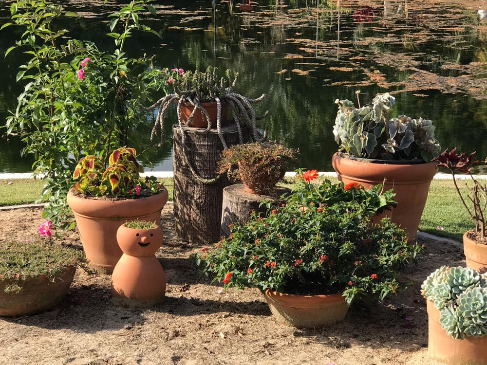 23/04 Jardim Botânico Plantarium e Cultura Leta em Nova Odessa