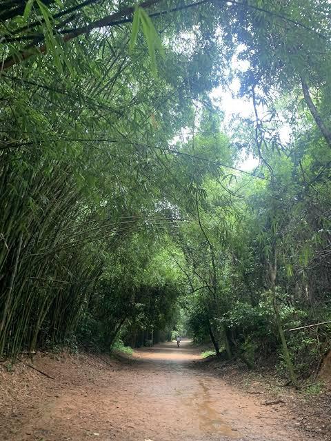 Com cerca de 4km de extensão e dividida em 3 trechos, a trilha liga Sousas e Joaquim Egídio, dois distritos de Campinas e que são conhecidos pela tranquilidade e natureza. Também é uma trilha leve indicada para quem gosta de caminhar, pedalar ou cavalgar. 