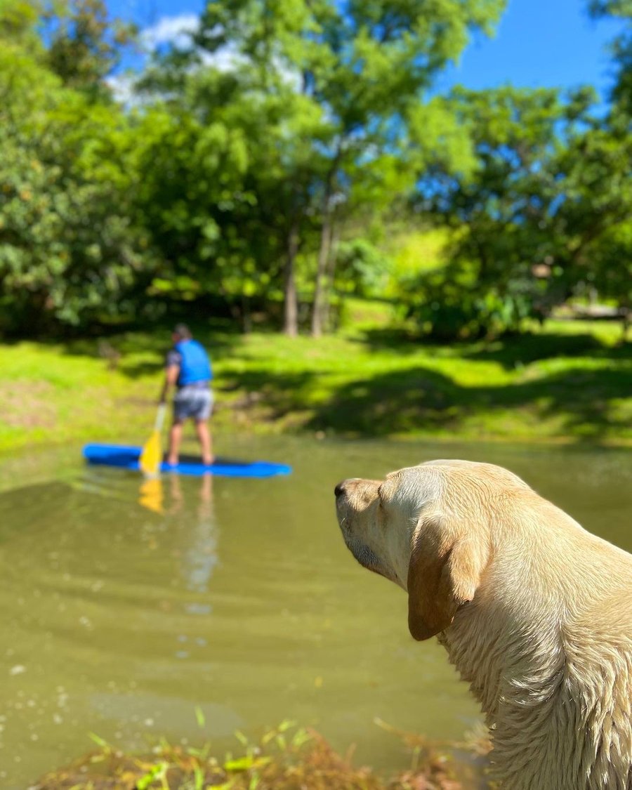 rafting pet no raft adventure park