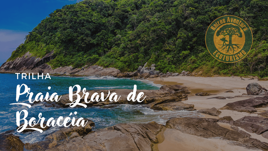 Trilha Praia Brava De Boracéia