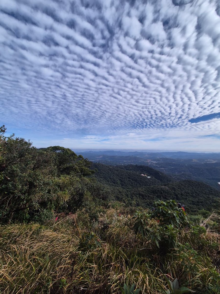 Trilha Pedra Partida