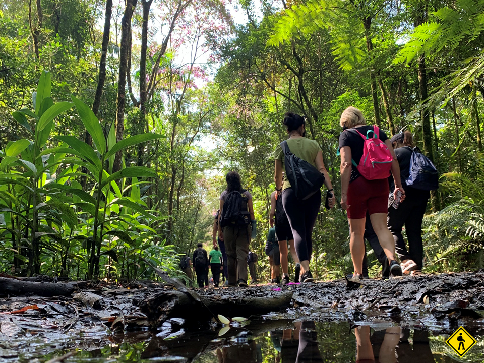 Trilha Do Mirante -  Parque Das Neblinas 