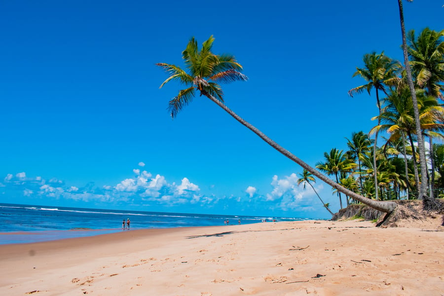 As Melhores Praias de Itacaré: Descubra os Paraísos Escondidos da Bahia