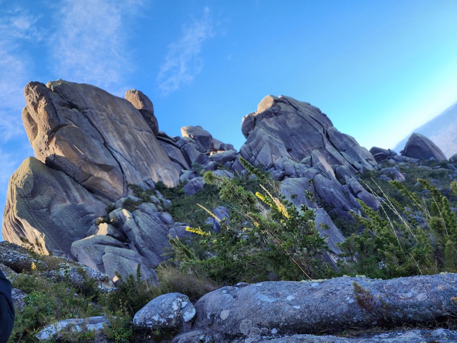 Prateleiras de pertinho!