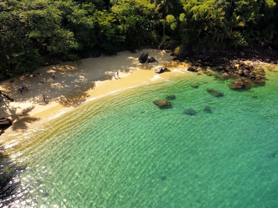Ilha das Couves
