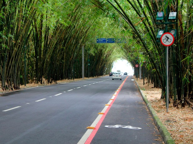 Transfer Aeroporto x Hotéis em Salvador (3)