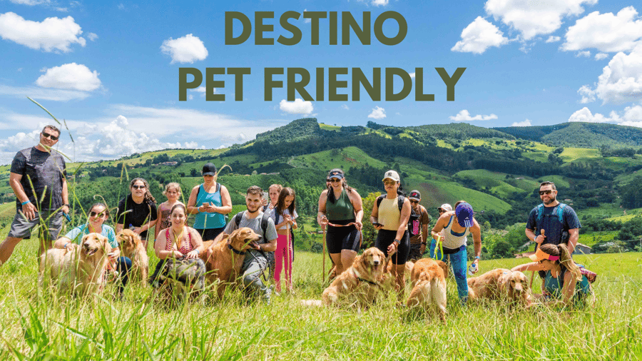 SOCORRO, DESTINO PET FRIENDLY                             