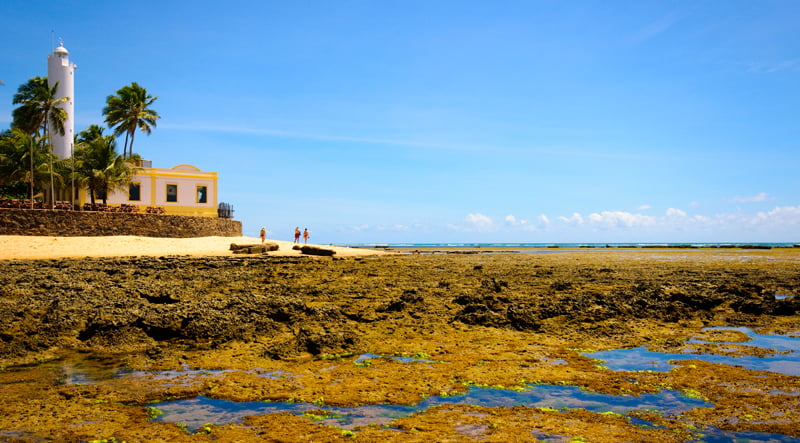 Passeio Praia do Forte e Guarajuba - Diário