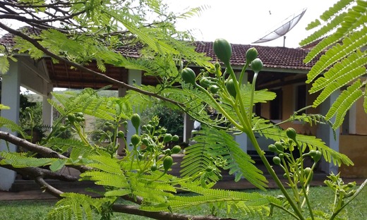 City Tour Mococa - A história do café em Mococa com visitação a uma fazenda centenária 