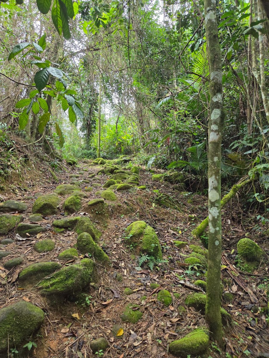 Trilha do Caminho do Ouro