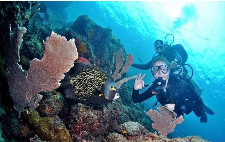 Mergulho 