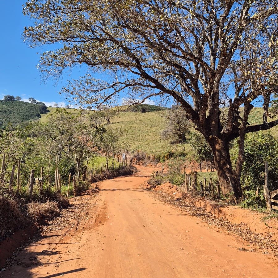 Estrada de terra vermelha ladeada por árvore grande e morros verdes sob céu azul
