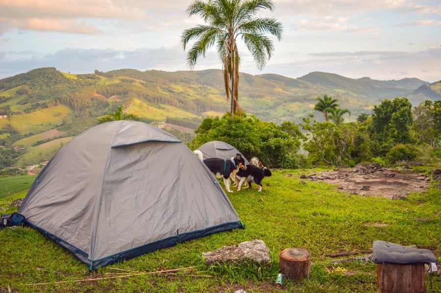 Camping de montanha pet friendly