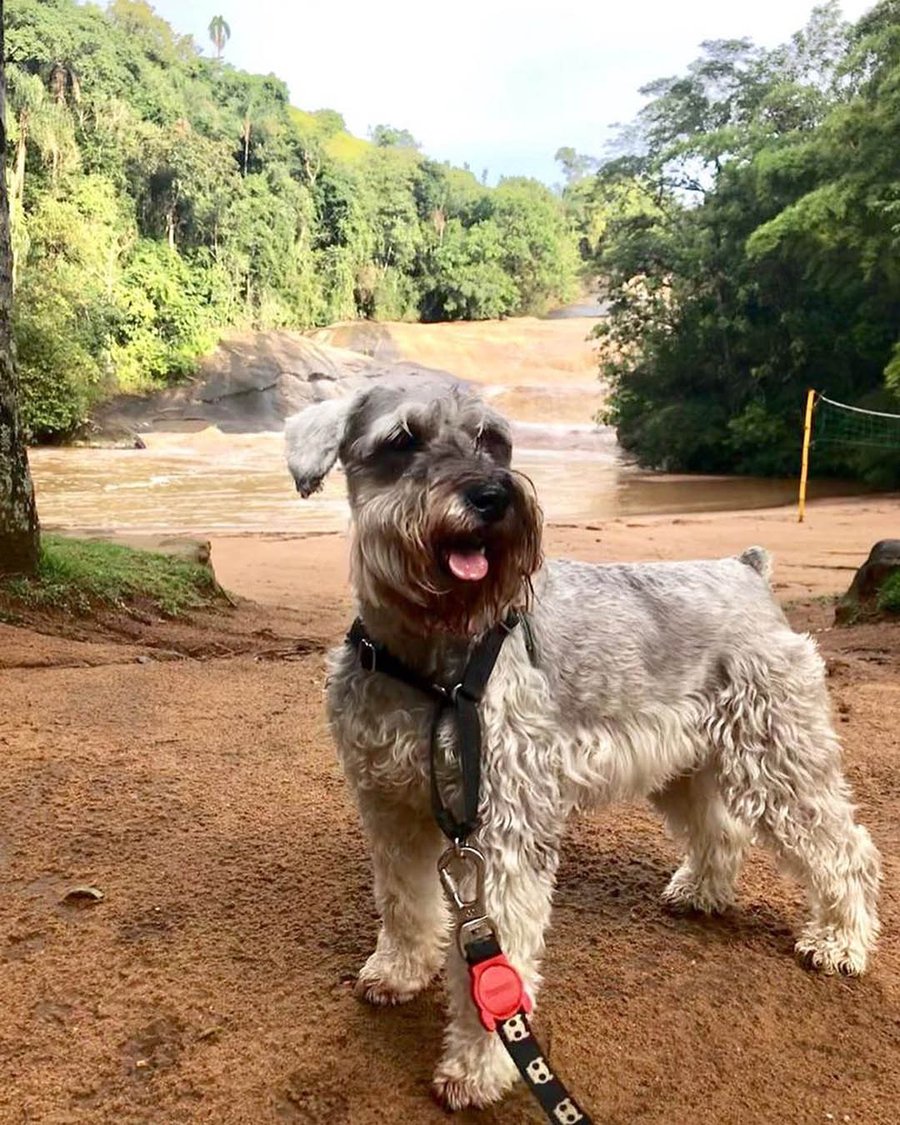 Day Use Hotel Fazenda Parque dos Sonhos