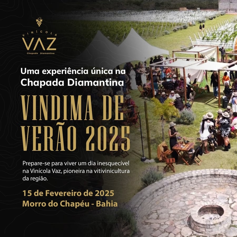 Vindima de Verão 2025