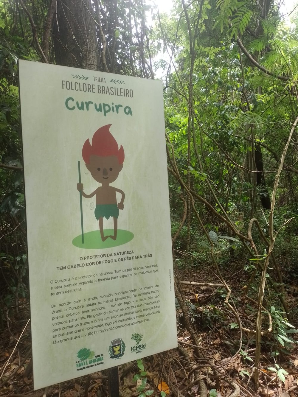 Natureza Guiada - Curupira