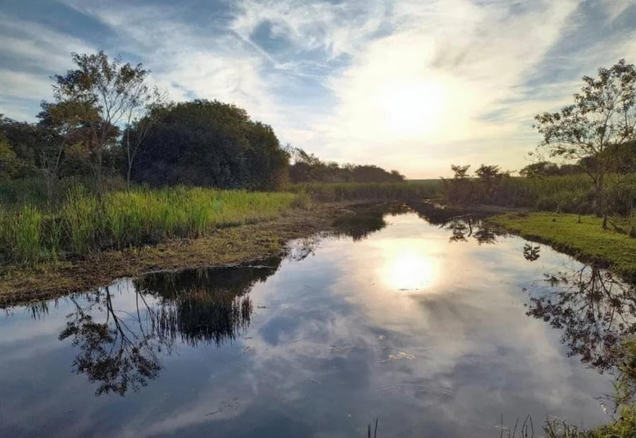 Mata Santa Genebra - lago