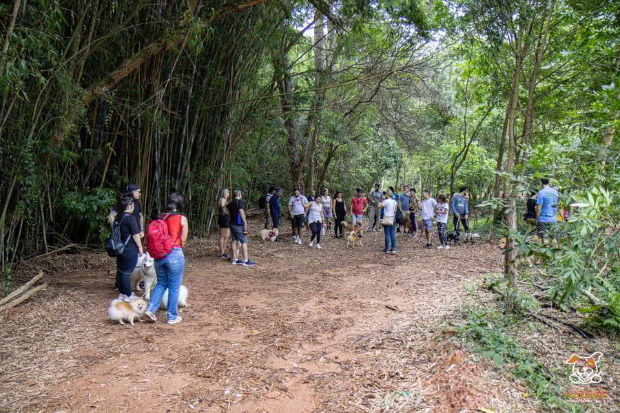 Fazenda Nossa Senhora Conceição pet friendly Jundiaí