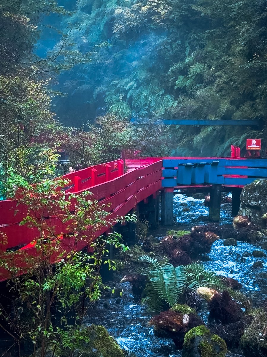 Termas Geométricas 06