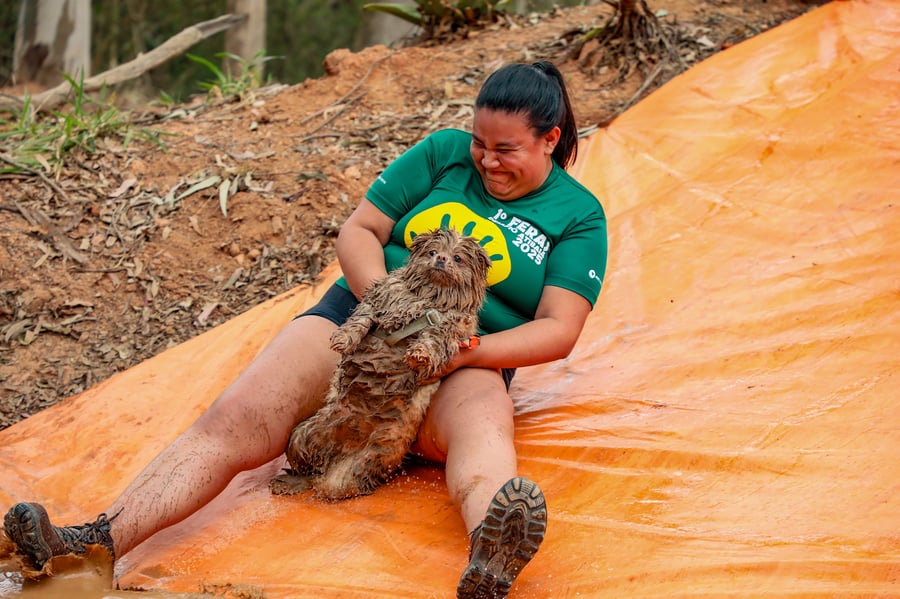 Desafio Feras Pet Friendly