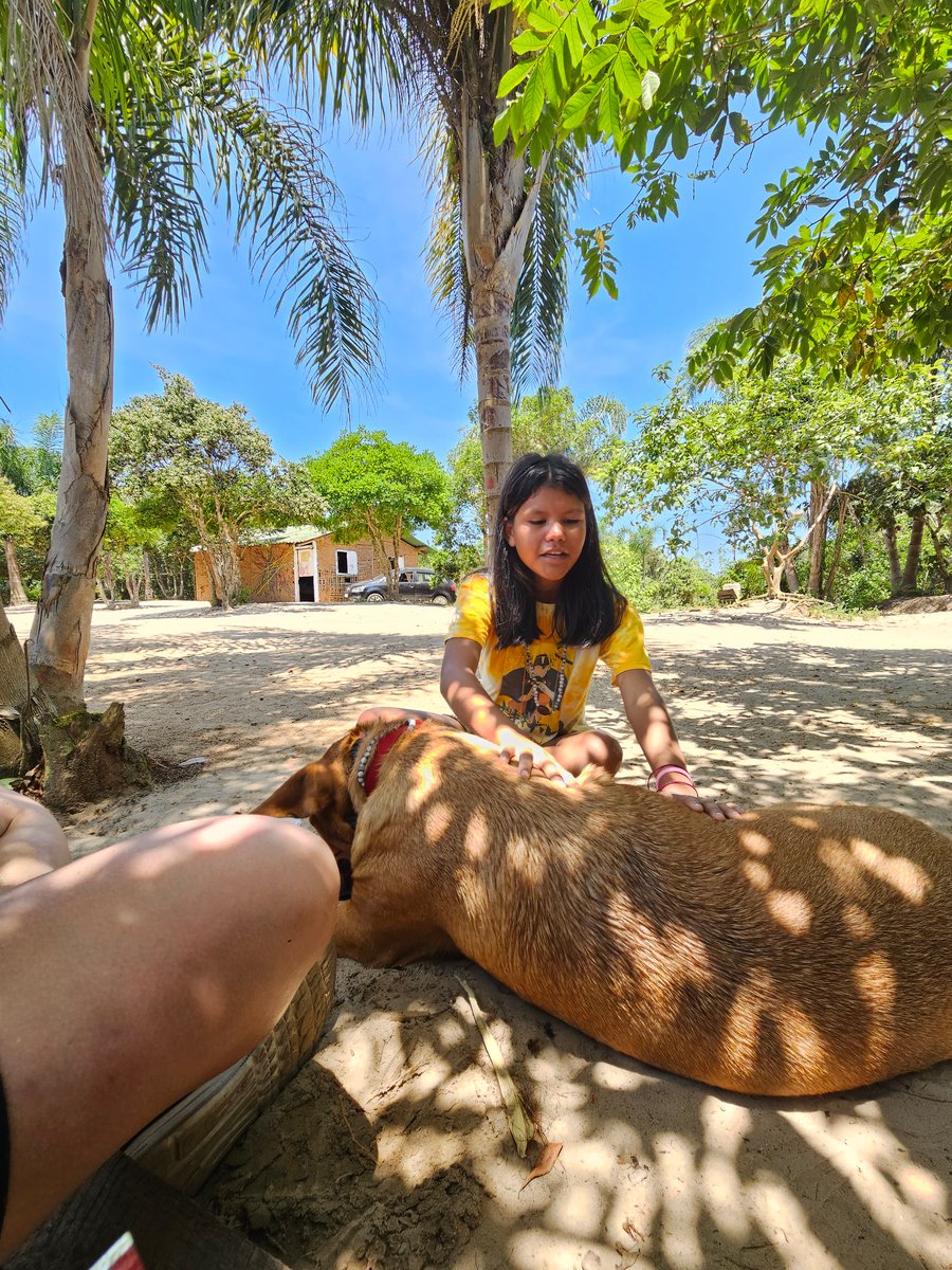 Aventura na praia Peruíbe pet friendly trilha, barco, pousada 