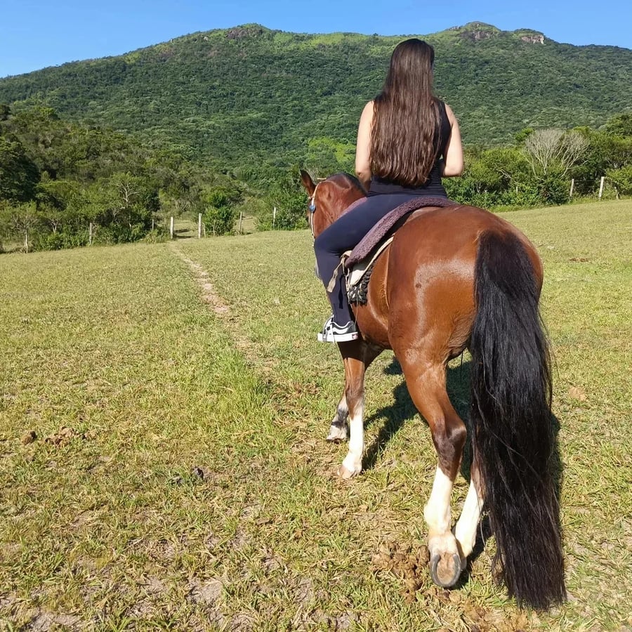 Cavalgada entre montanhas