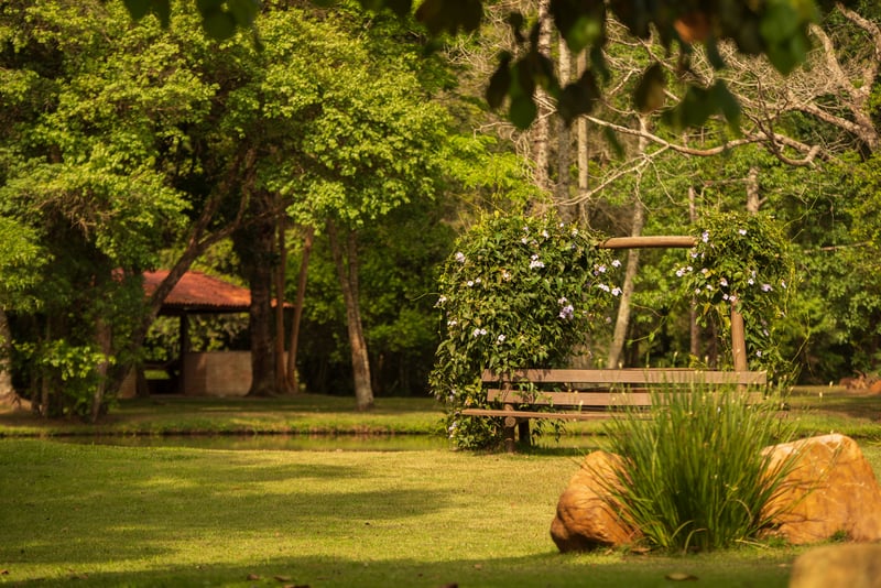 Bosque para recepção dos grupos