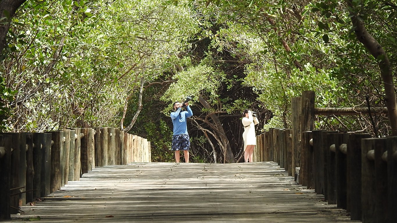 Aventura em Jericoacoara