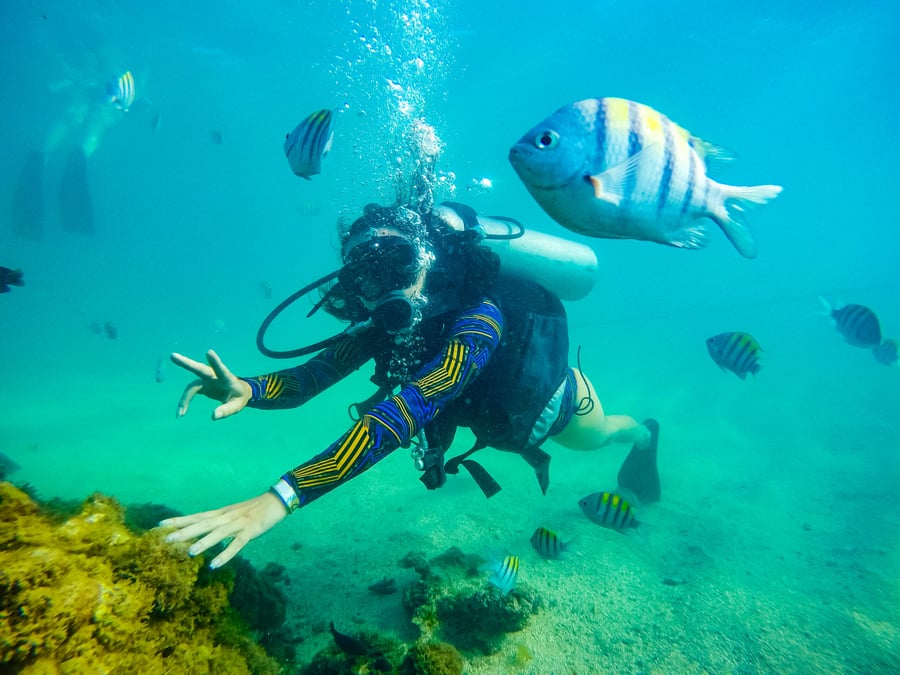 Mergulho com Cilindro em Porto de Galinhas