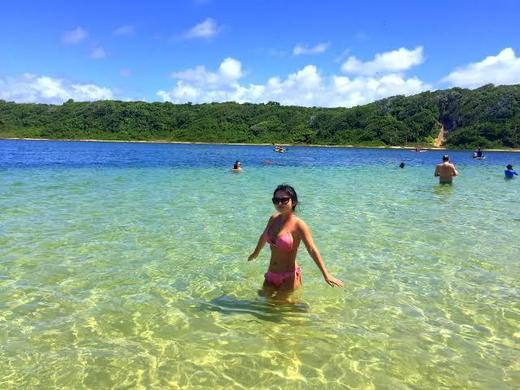 Passeios de Buggy - Litoral Norte. 