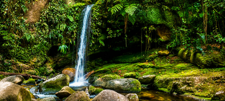 Cachoeira da Agua Branca