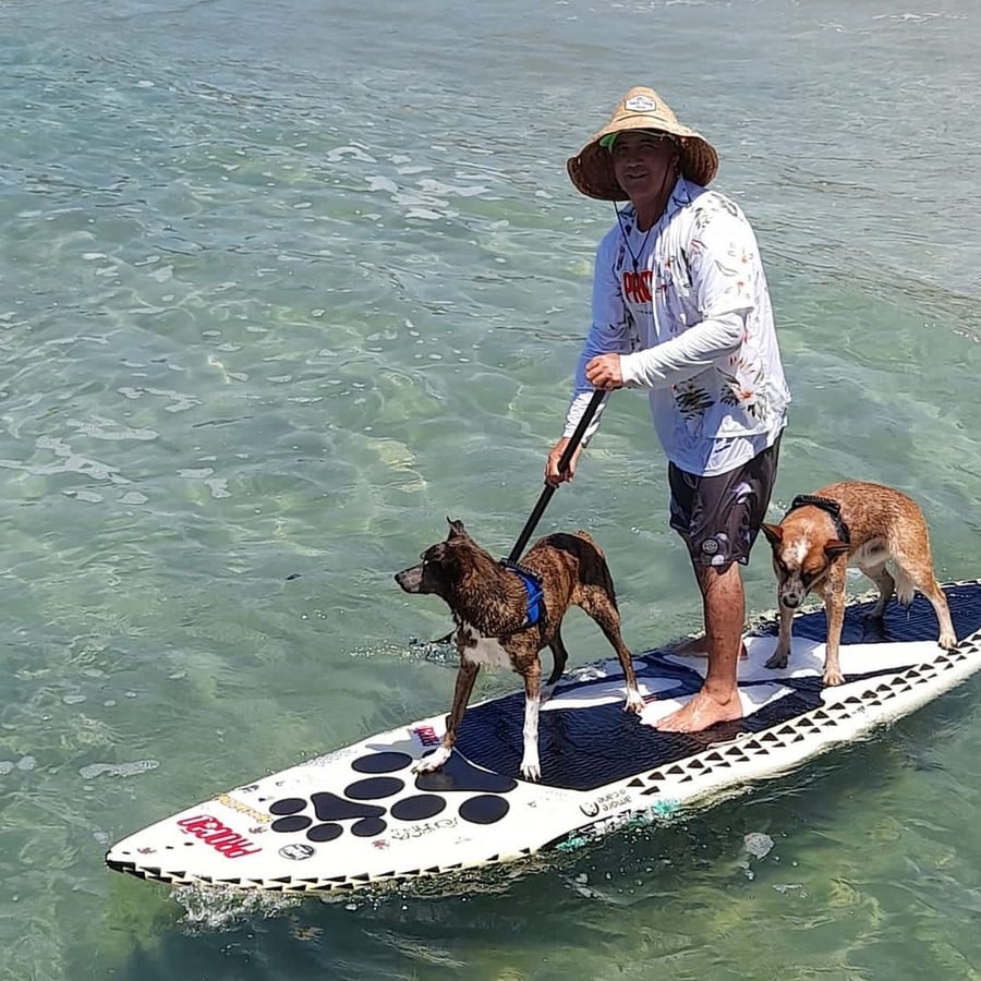 Aula de Surf Dog