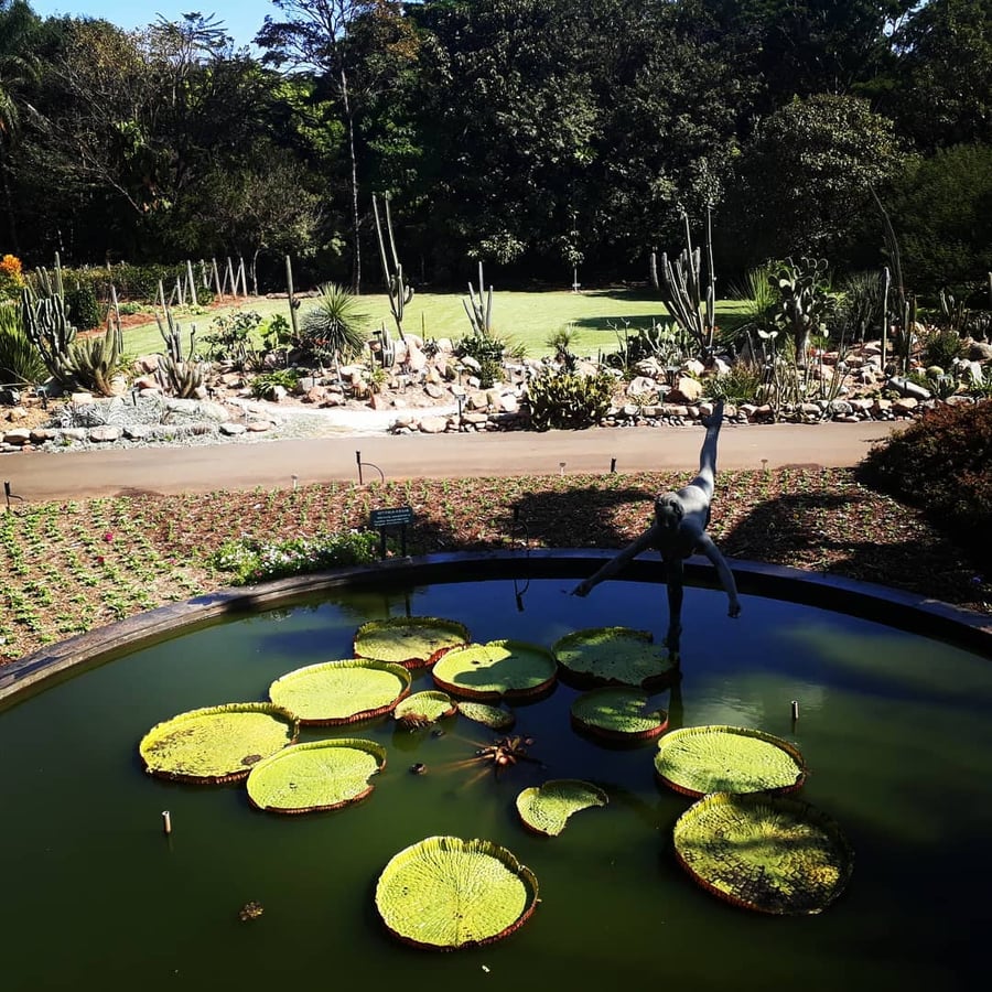 23/04 Jardim Botânico Plantarium e Cultura Leta em Nova Odessa