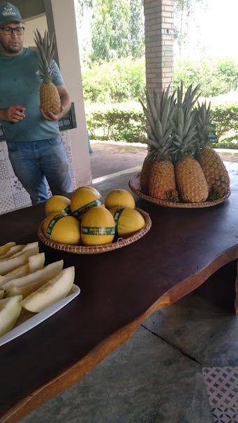 Degustação Sítio São José