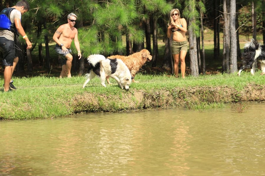Day Use Aventura Pet com Trilha de Lama