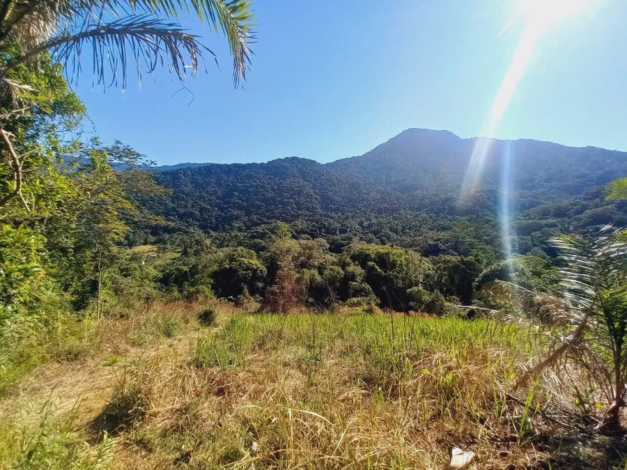 Pico do Piúva