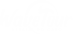 Logotipo WAVE TOUR ARRAIAL