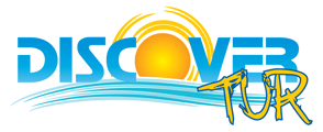 Logotipo Discover Tur