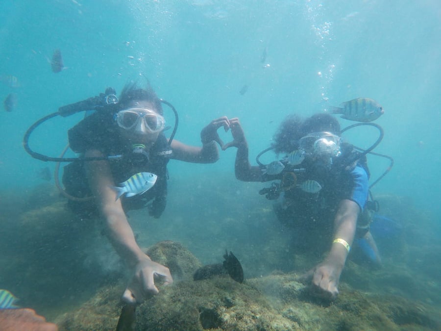 MERGULHO EM PORTO DE GALINHAS