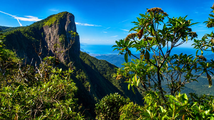 Pico do Corcovado