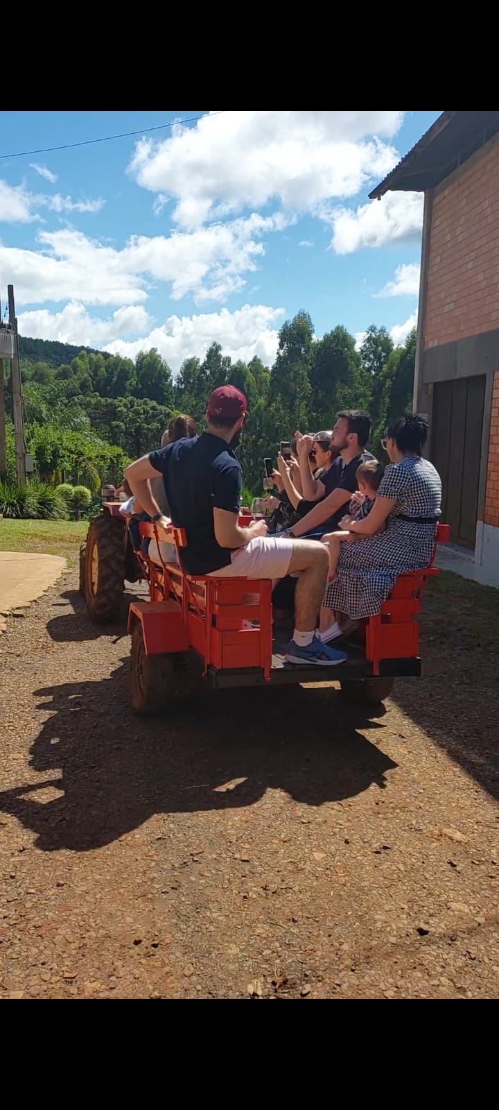 Passeio de carreta debaixo dos vinhedos