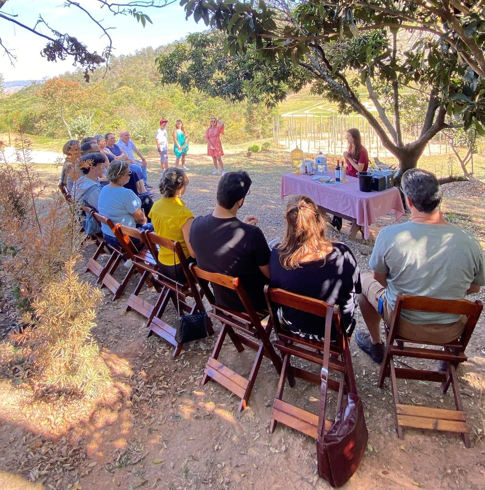 VINÍCOLA TERRASSOS - ACESSO E DEGUSTAÇÃO DE VINHOS