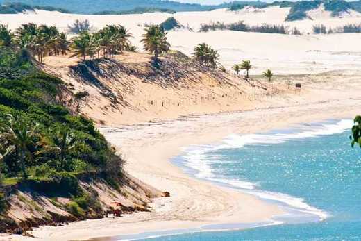 Passeios de Buggy - Litoral Norte. 